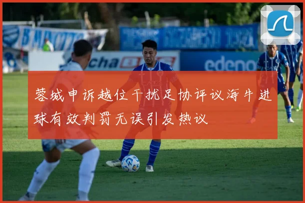 蓉城申诉越位干扰足协评议海牛进球有效判罚无误引发热议