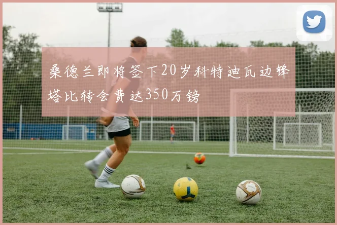 桑德兰即将签下20岁科特迪瓦边锋塔比转会费达350万镑